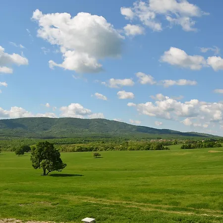 Vis Velika