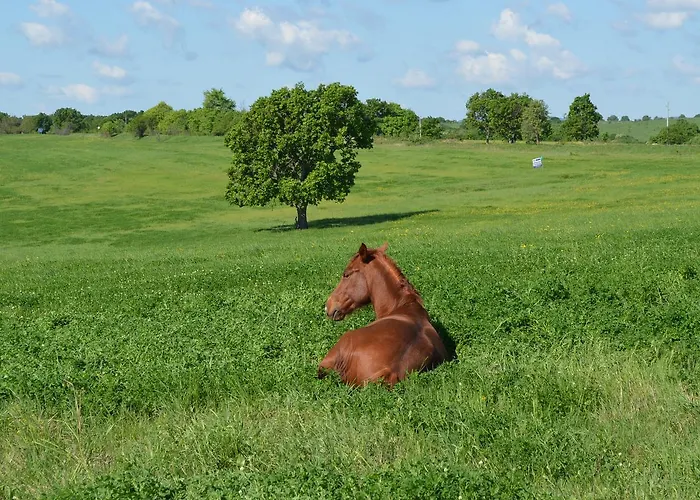 Frühstückspension Vis