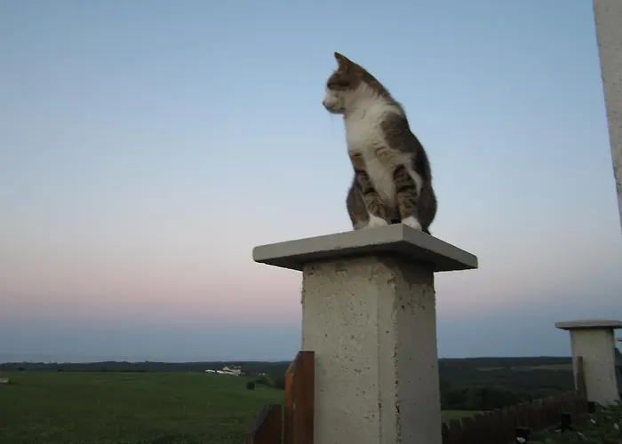 Frühstückspension Vis