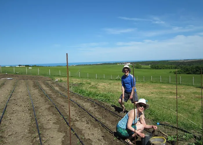 Vis Frühstückspension