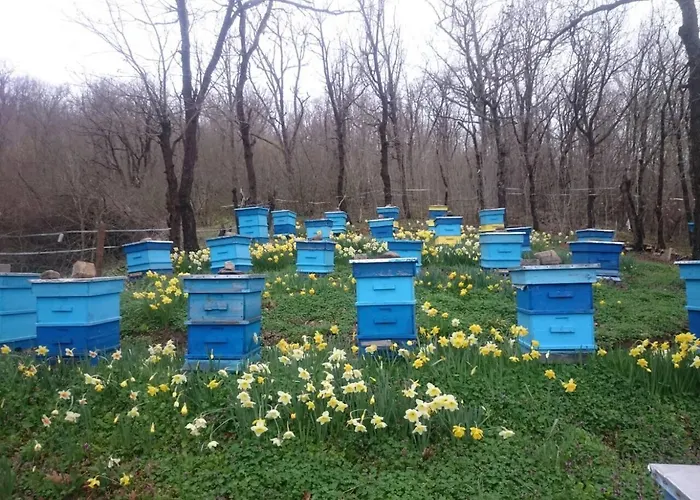 Frühstückspension Vis